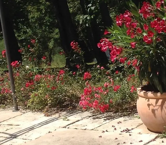 Konukevi Les Delices De 3*