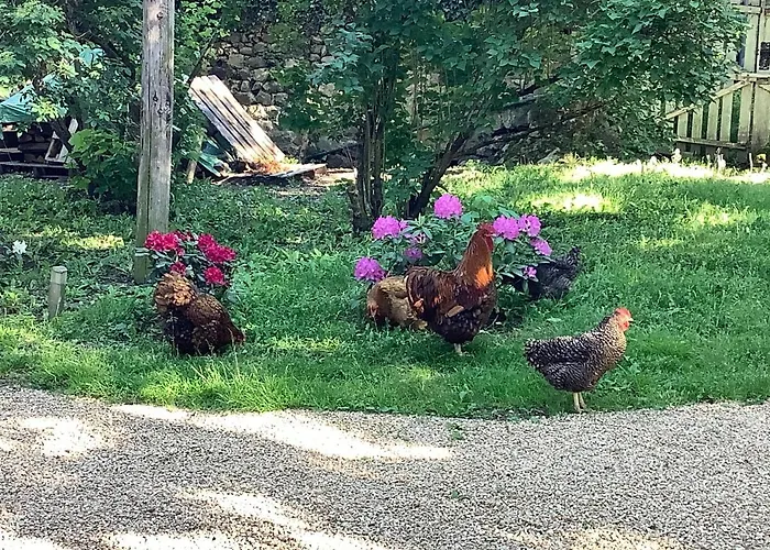 Maison d'hôtes Les Délices De